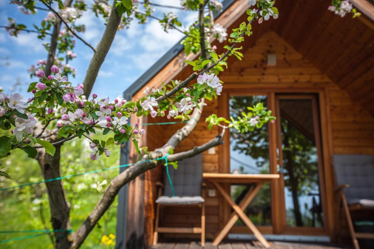ホテル Glamping Kranjc コバリード エクステリア 写真